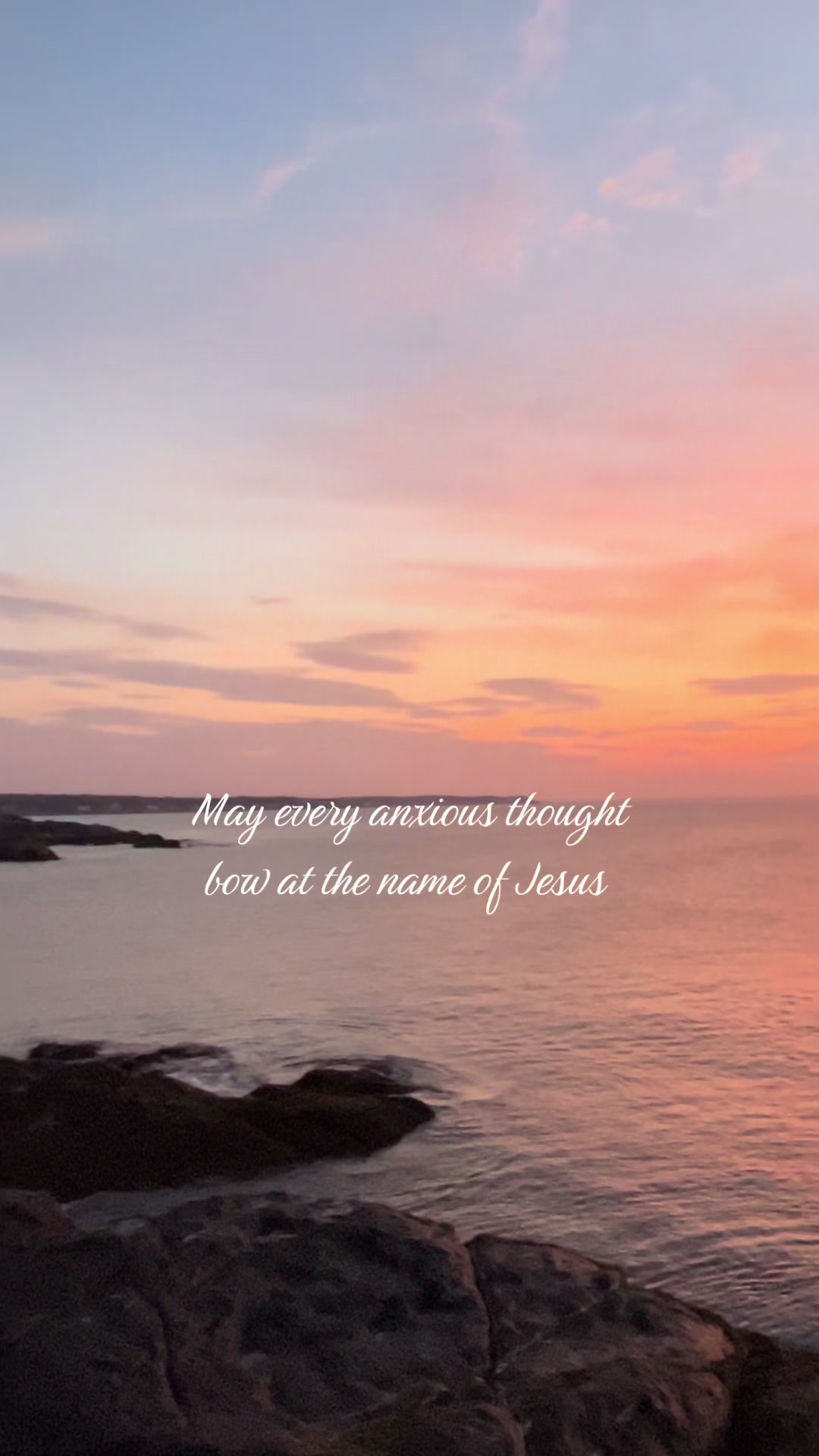 @taliacaiazzo🌷🧚🏻