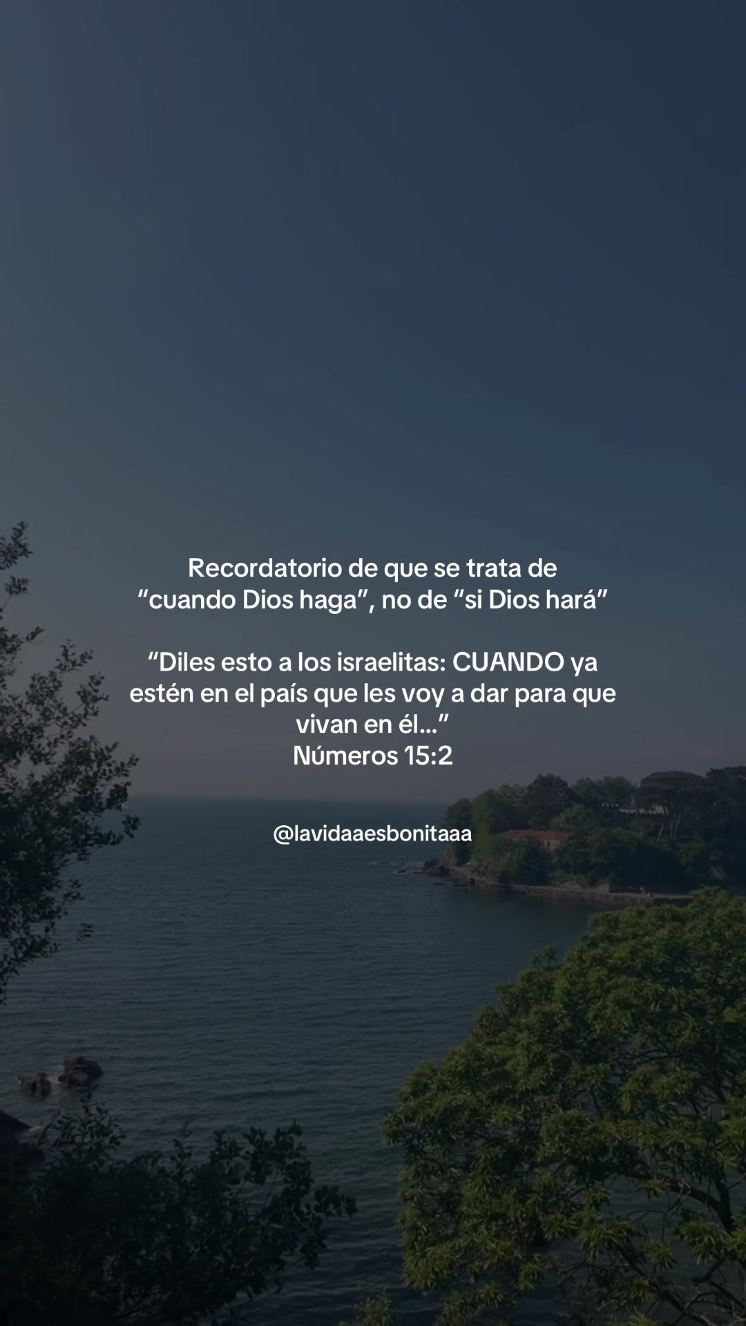 @vidabonita❤️&zwj;🩹