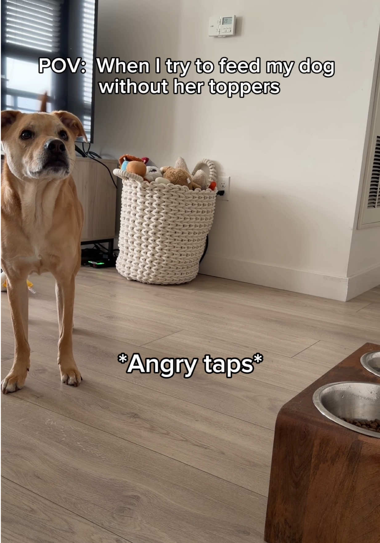 @Native Pet