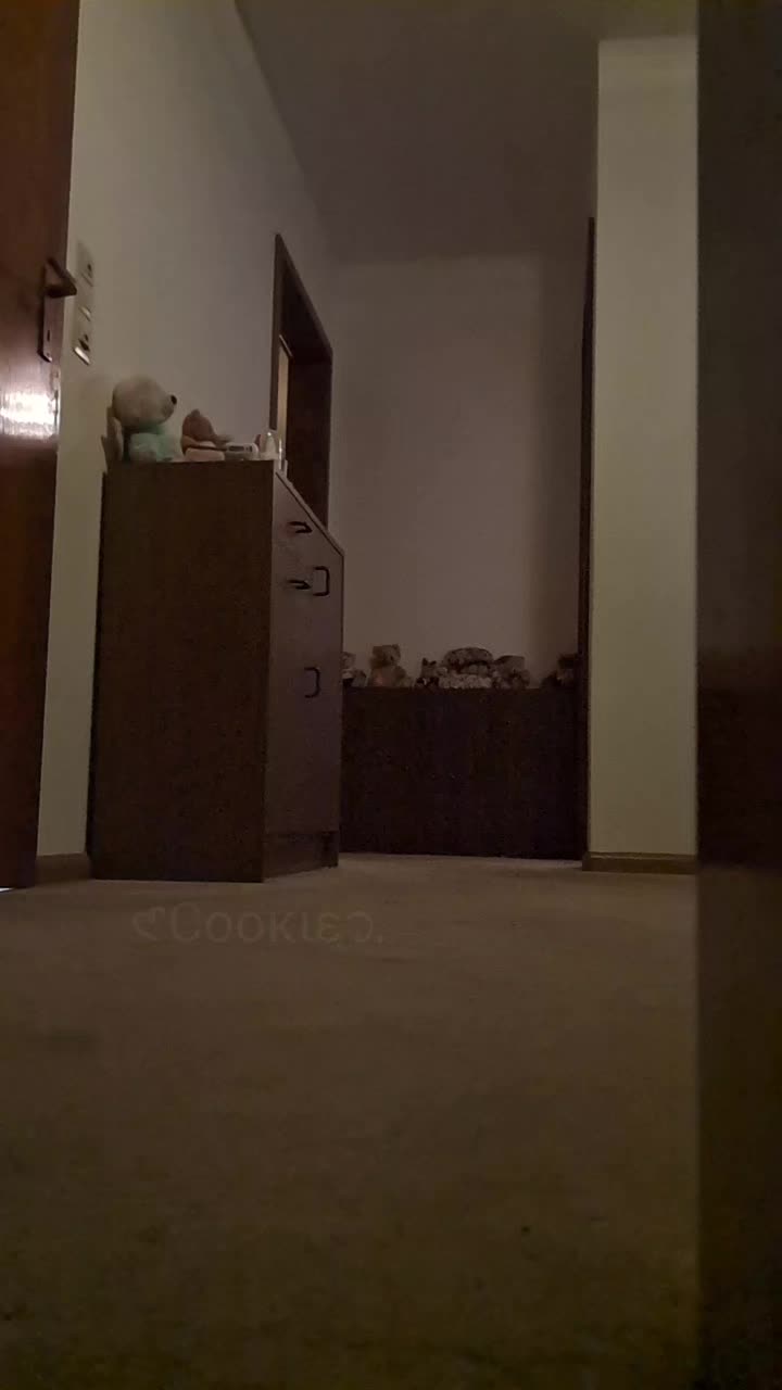@𑣲С&omicron;&omicron;к&iota;&epsilon;᭡.𓂃