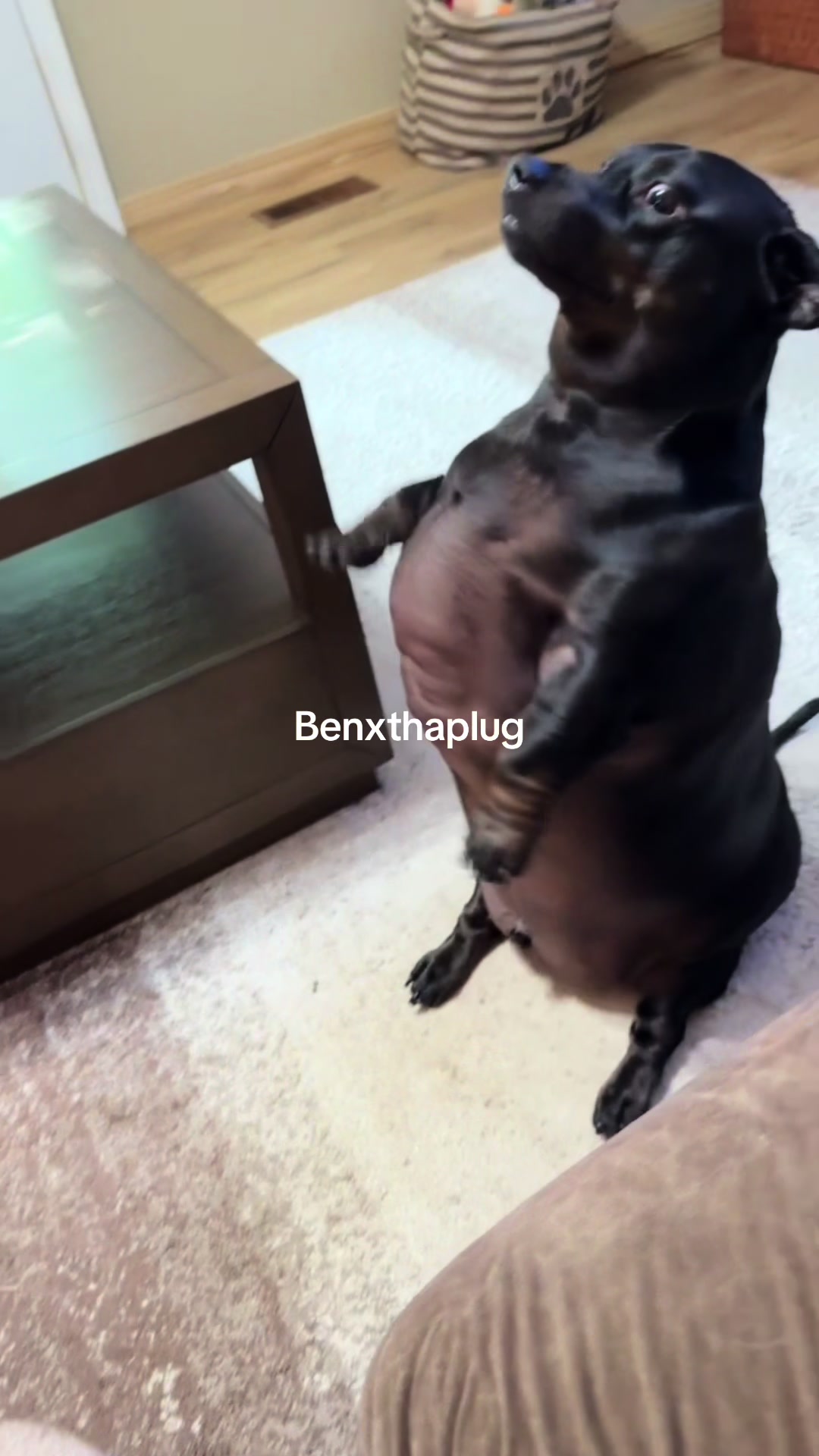 @BenSlinkdawg