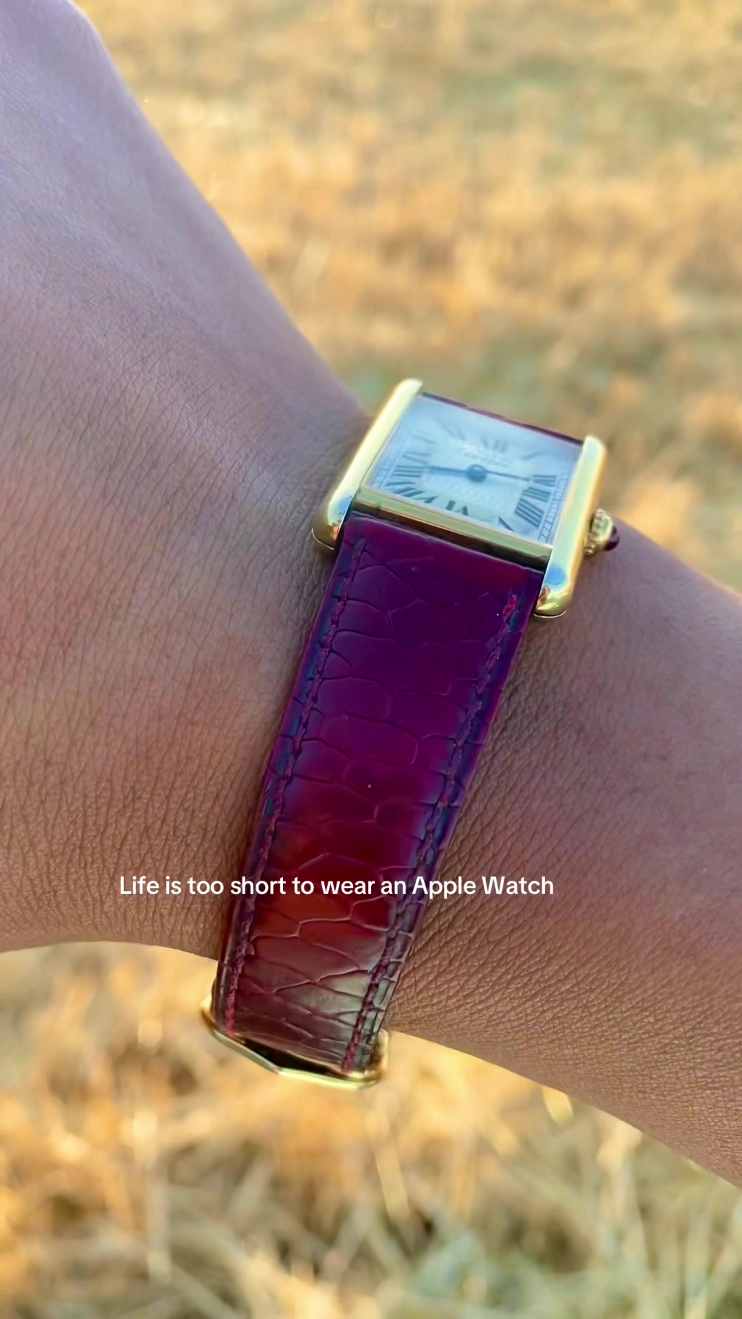 @Mr. Watches