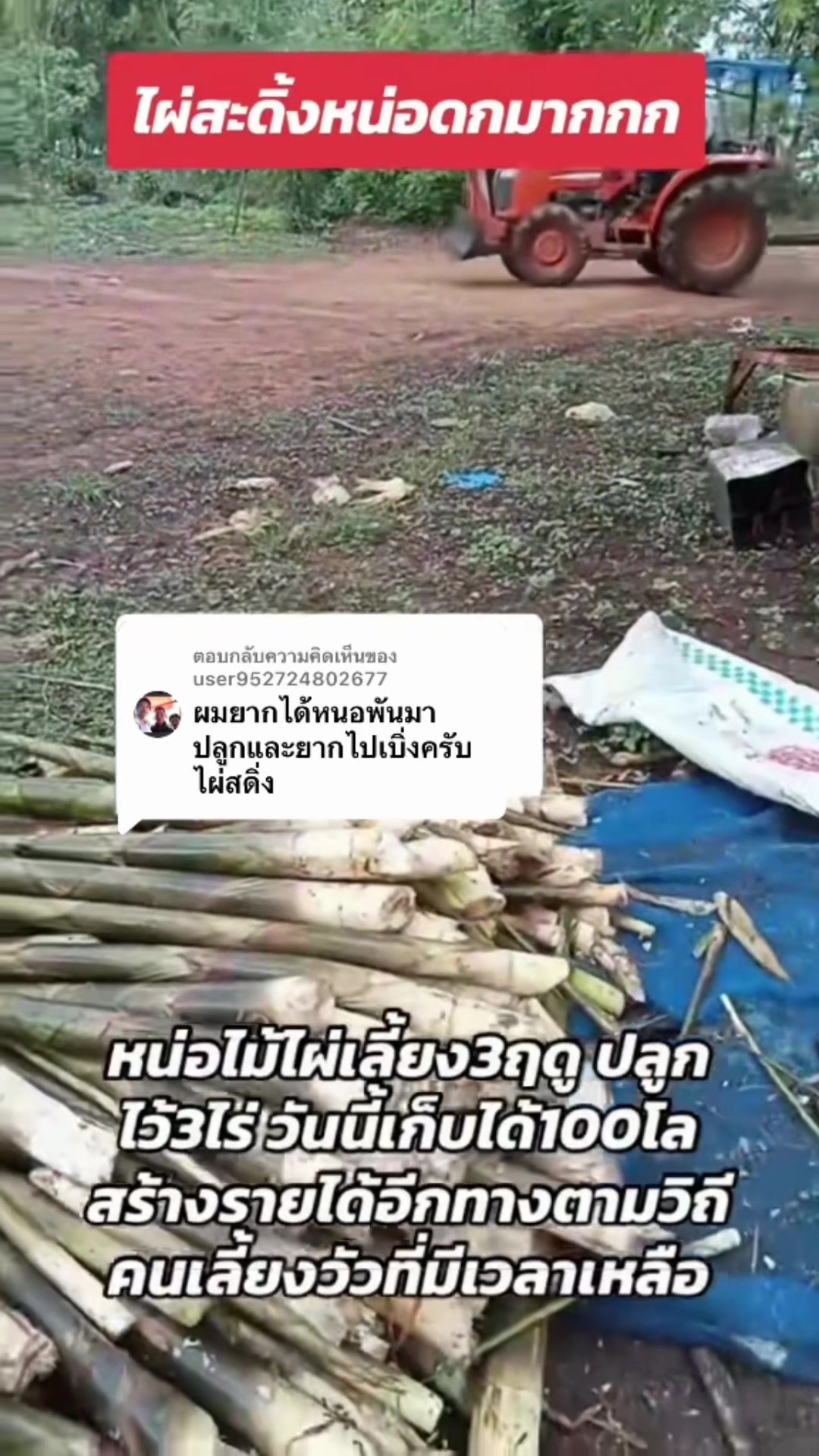 @นัดดาชอป