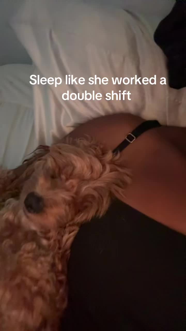 @ChanNicole