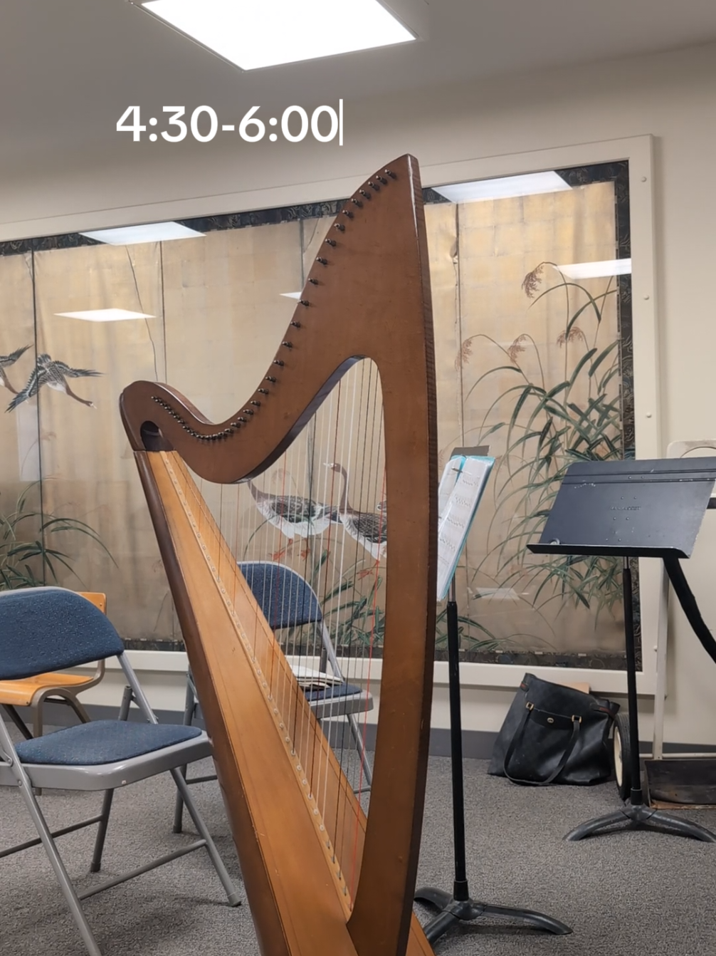 @Harpist Vanessa