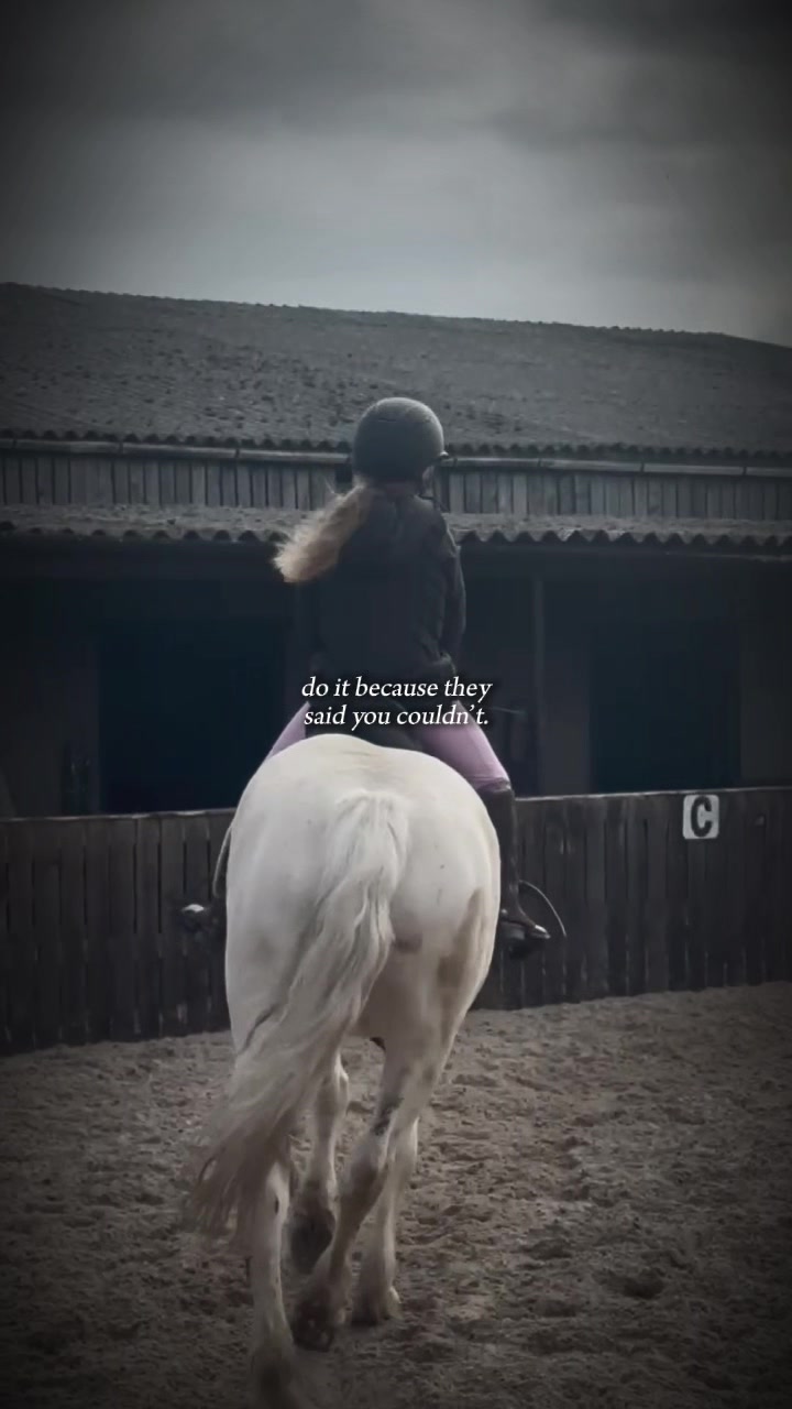 @LottiesHorseAdventures🦄🐴