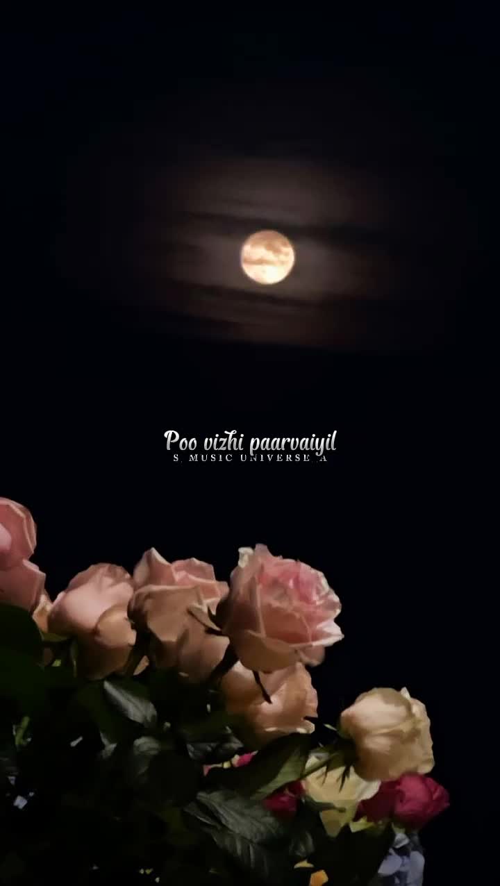 @&hearts;𝙈𝙐𝙎𝙄𝘾 𝙐𝙉𝙄𝙑𝙀𝙍𝙎𝙀&hearts;