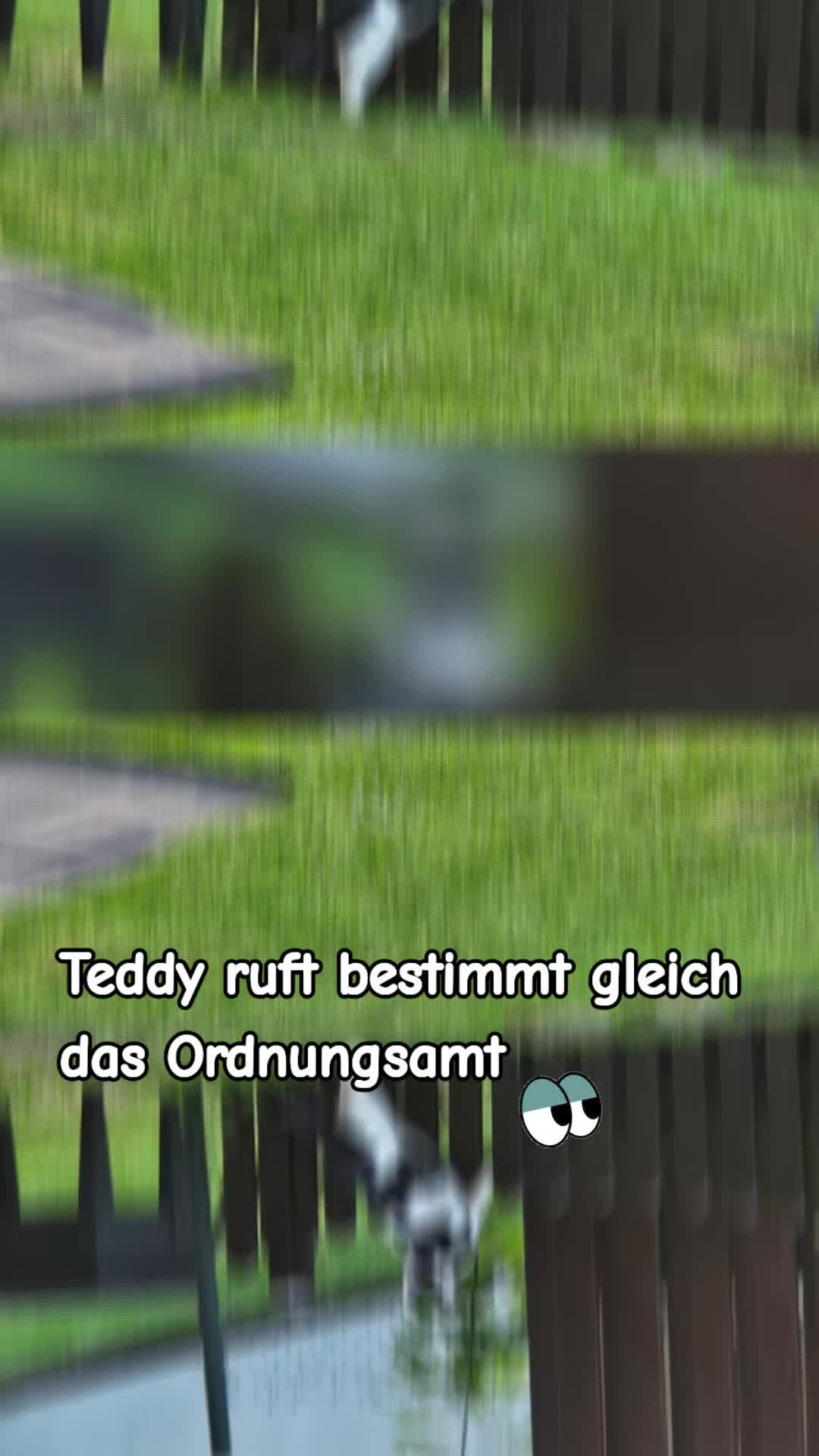 @elschi