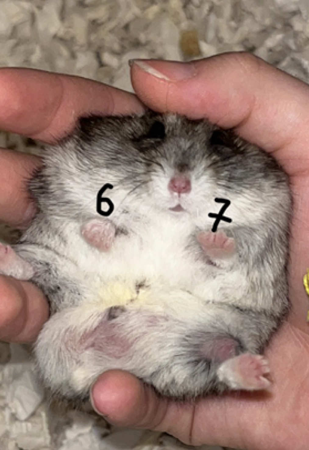 @Eric Cartman