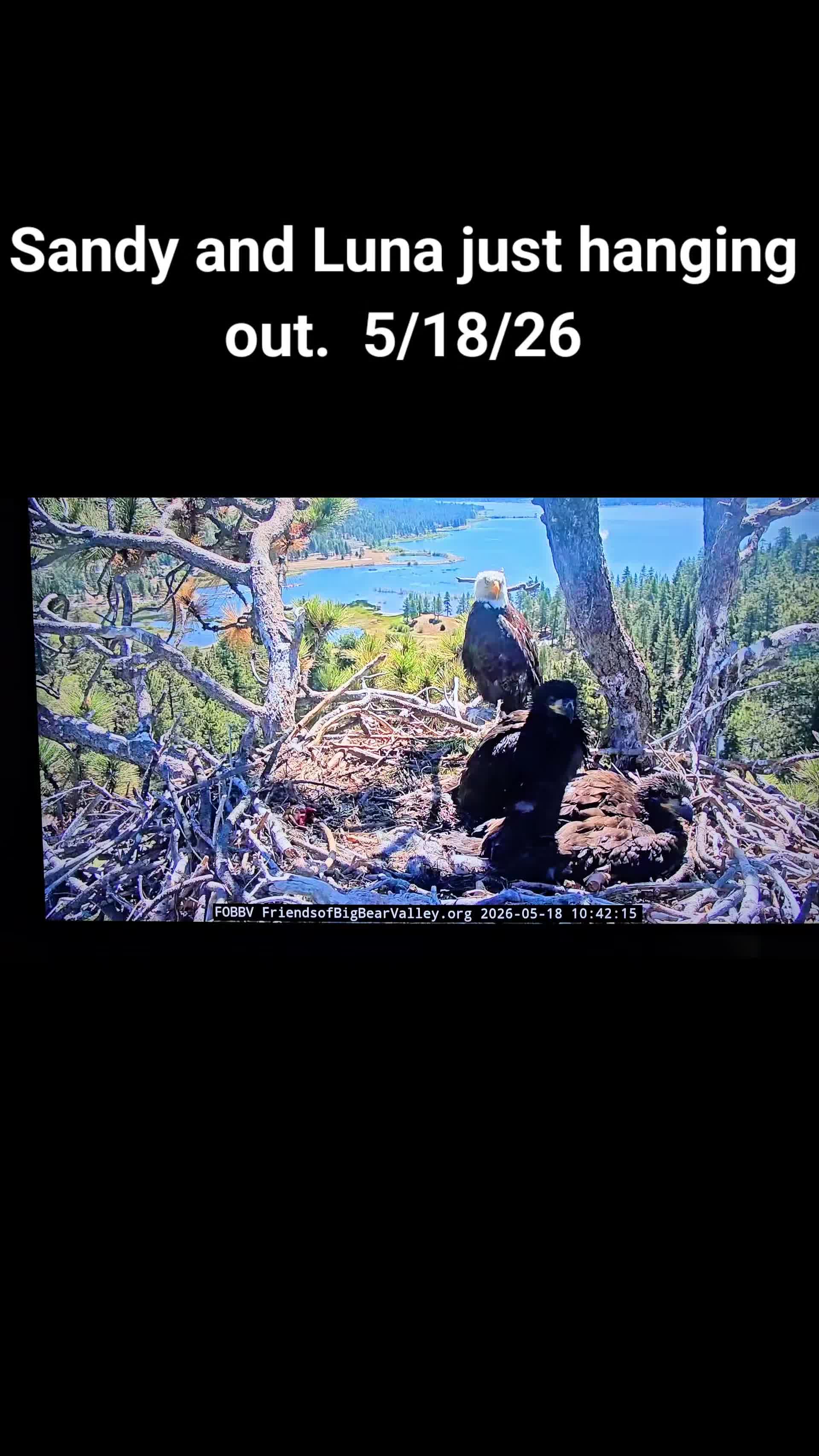 @llovelylenore🦅🦅🦅🦅