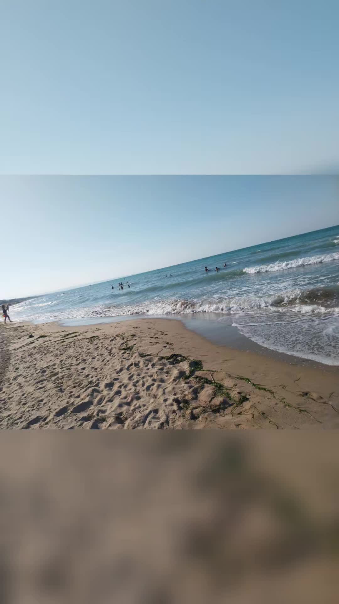 @elviracaldarulo