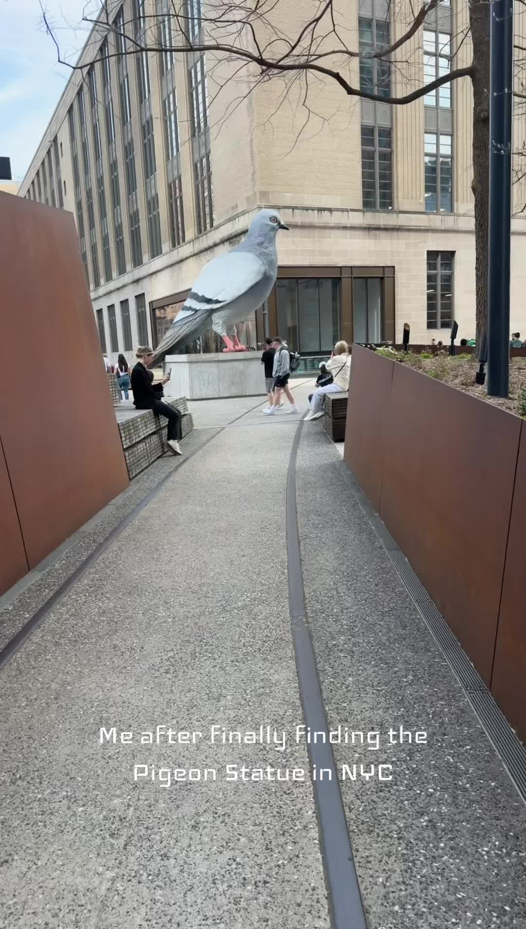 @adventureswithyesy