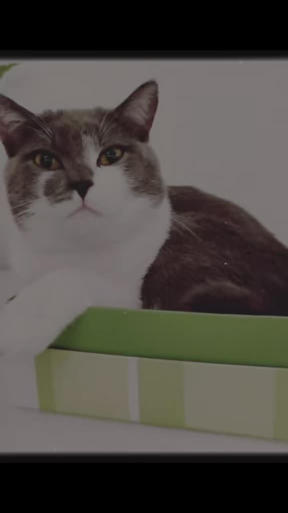 @𝐒𝔸𝓜тᑭᶠ&ouml;тᑕｈⒺή