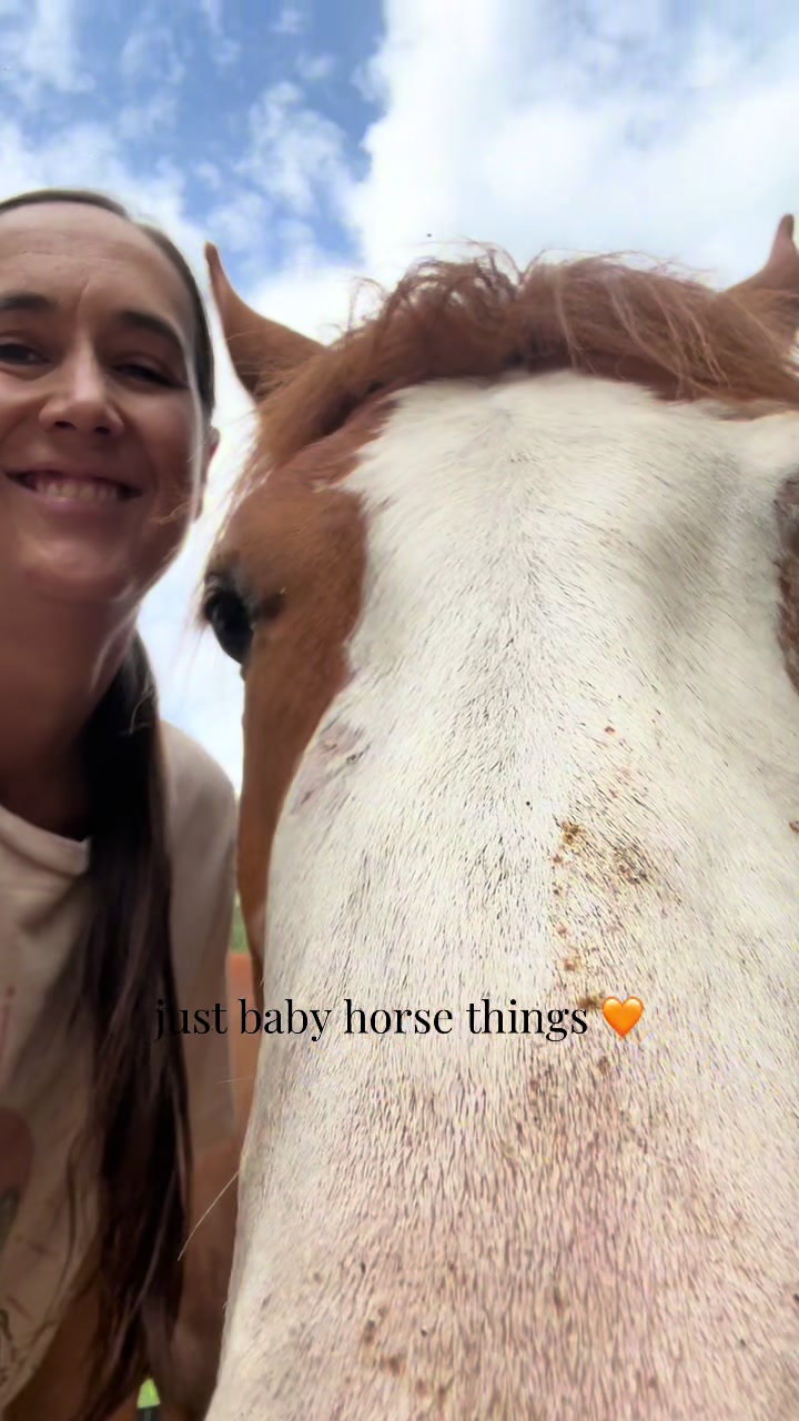 @corderoequine