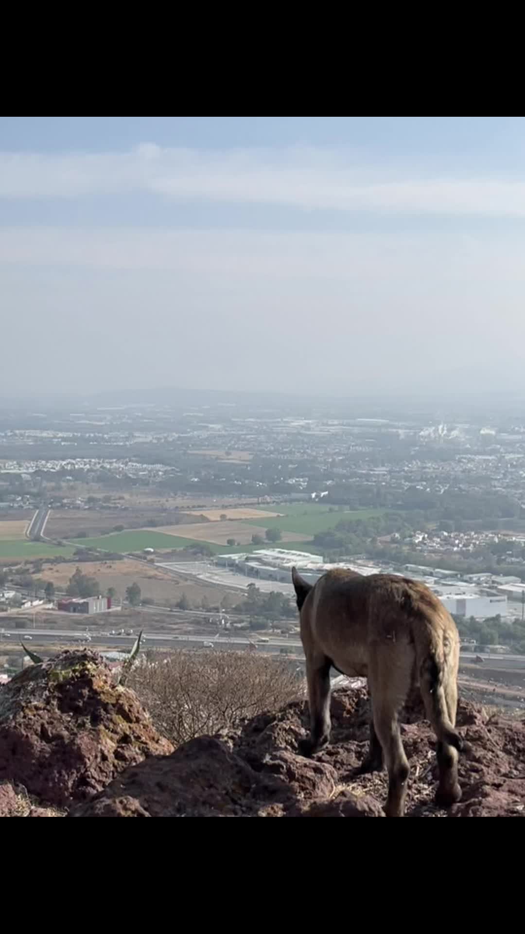@Israel Helgueros