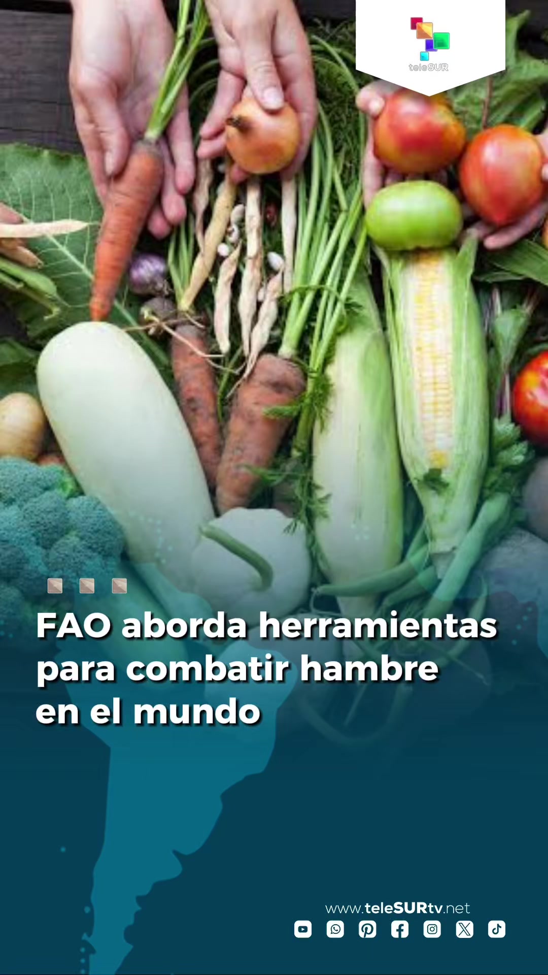 @teleSUR Clips