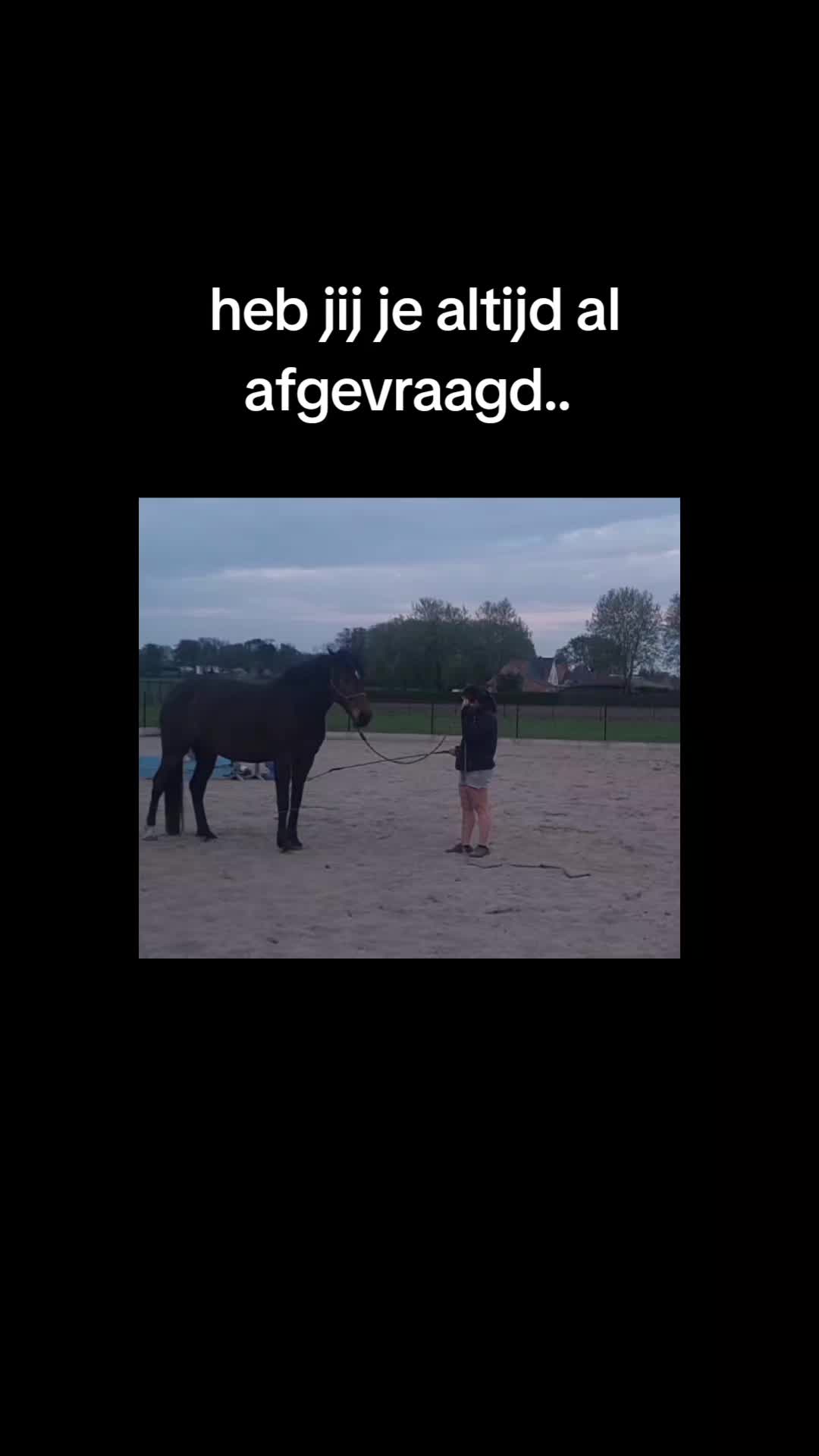 @Jessie De Reydt