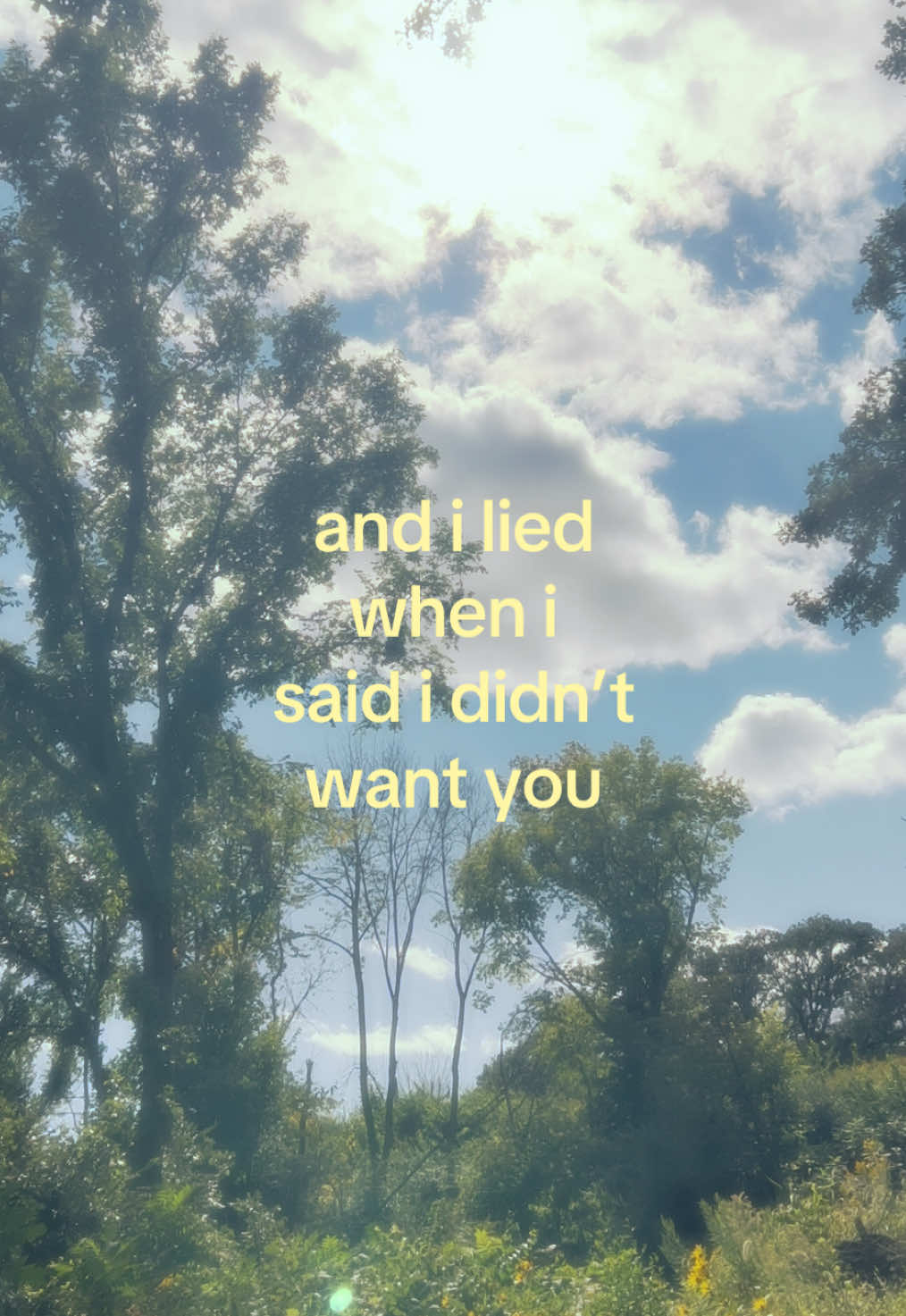 @⊹ ࣪ ˖ ୭˚.