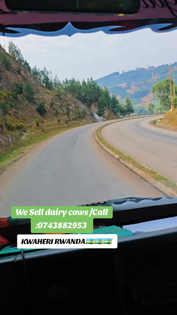 @PAULITODAIRYFARM 🇰🇪🇹🇿🇺🇬