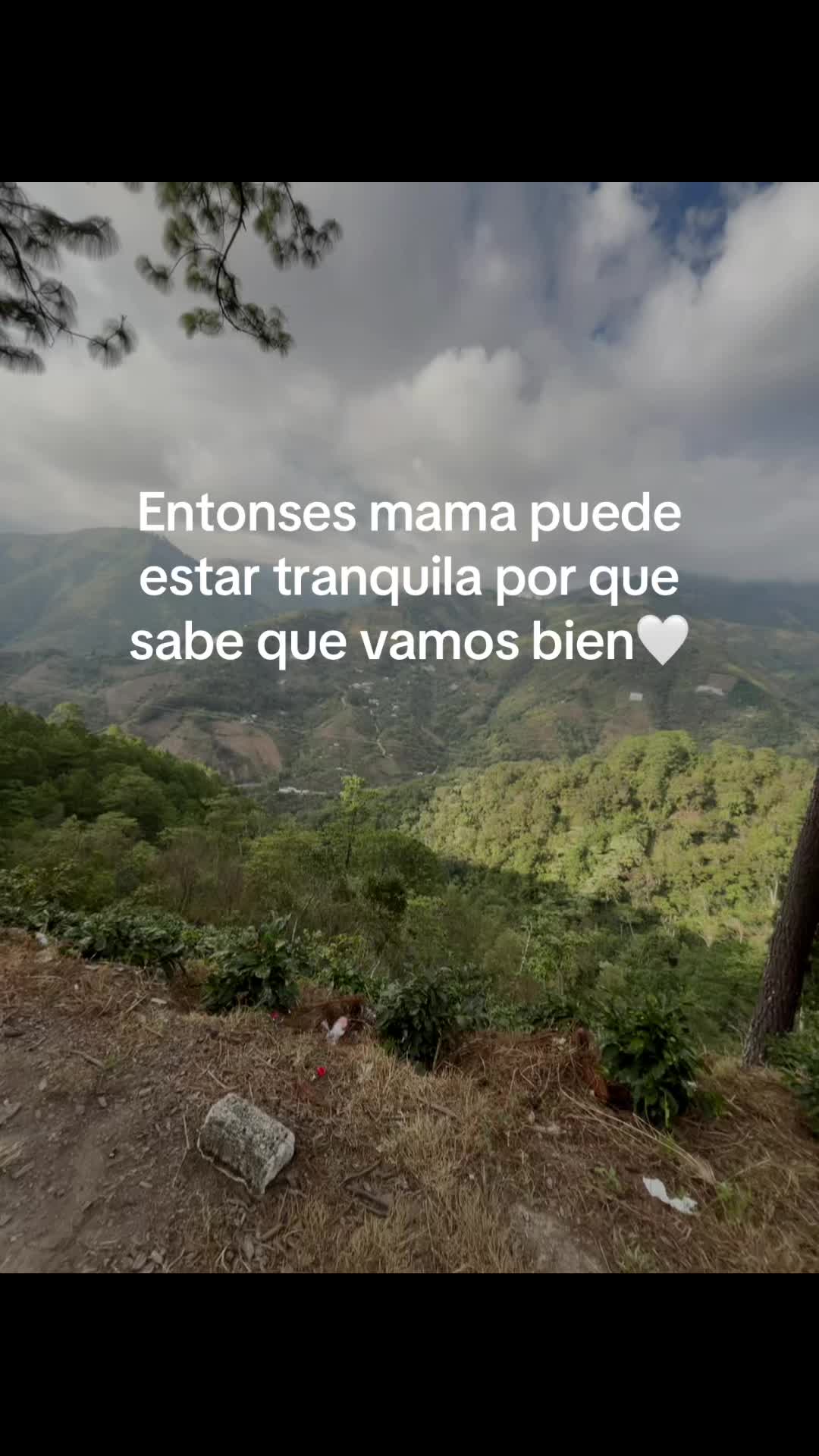 @pedro