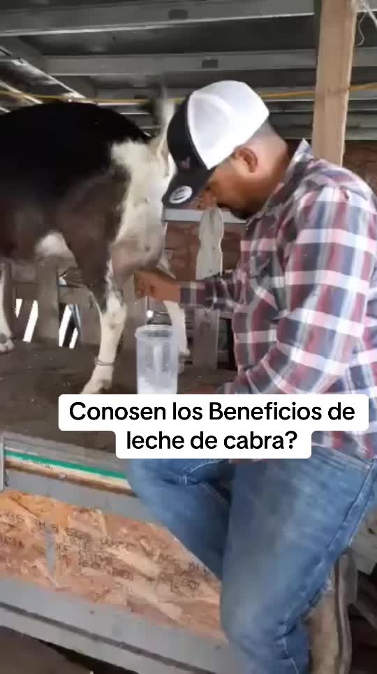 @Ranchoelnaturalito