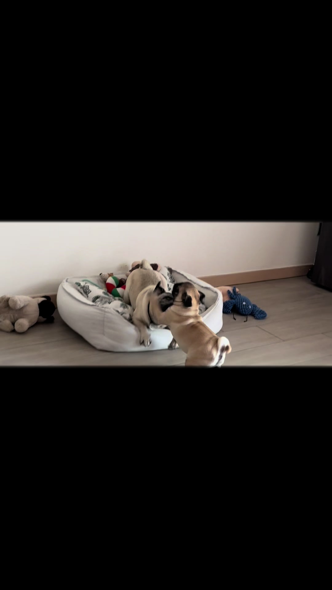 @Ciuciu&Carlotta
