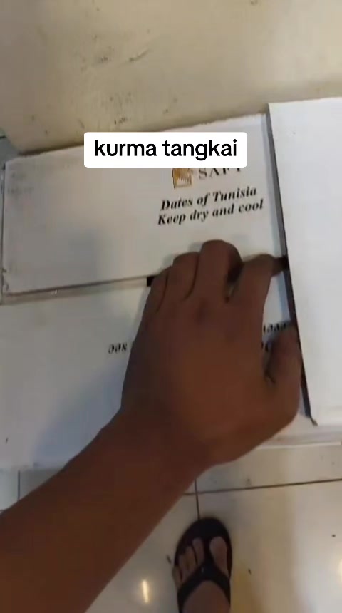 @Gemini 13 🇮🇩🇹🇼