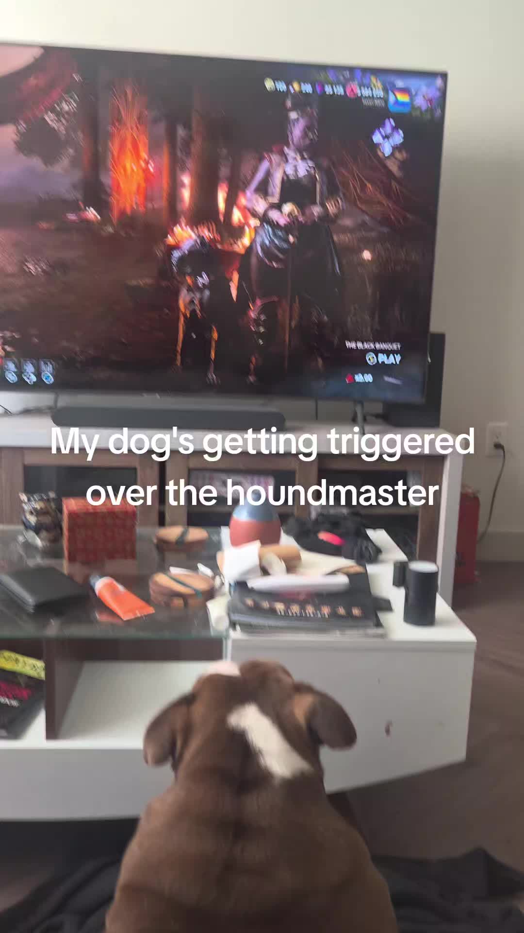 @WannaWander