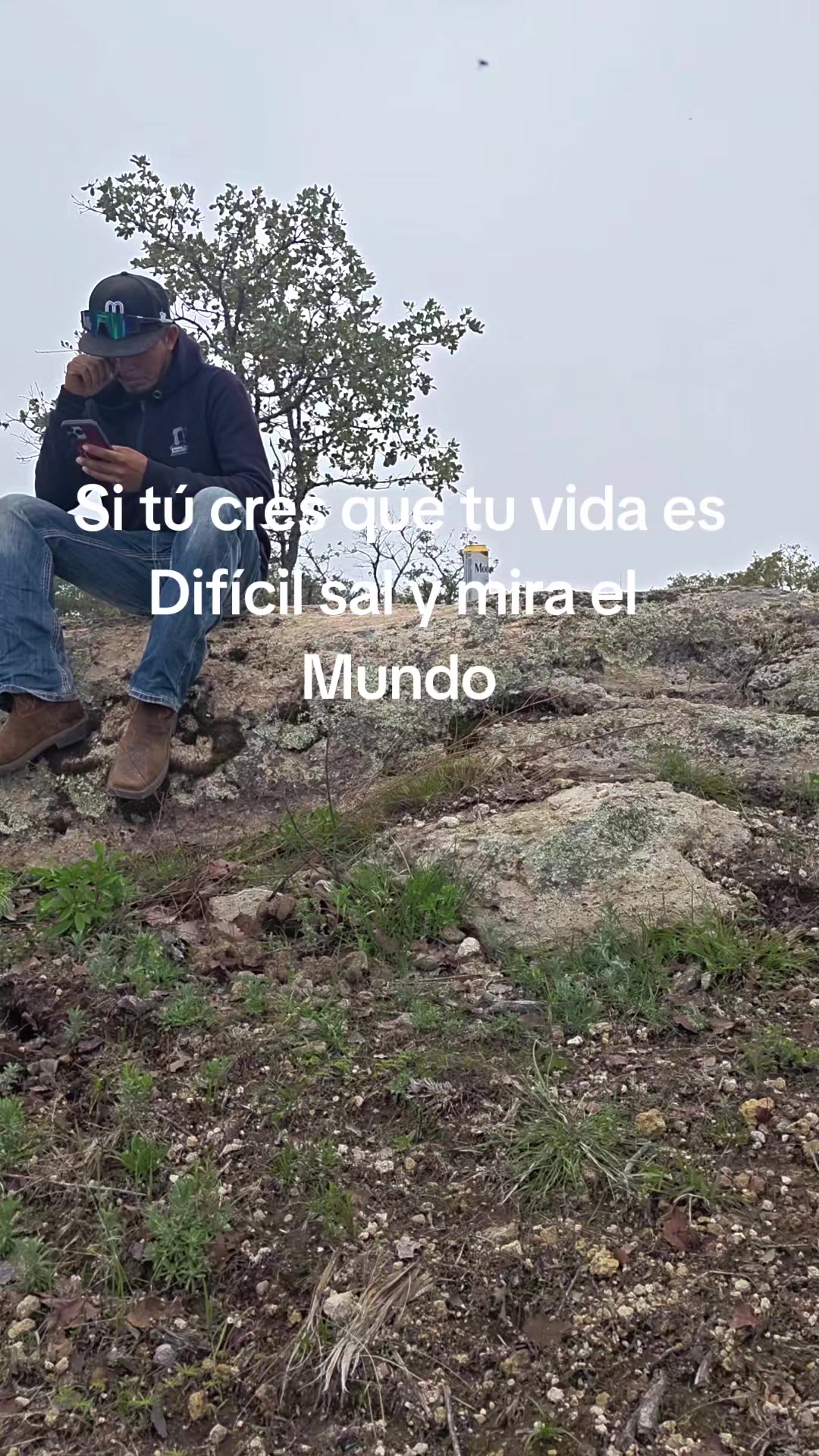 @Carlos Martínez