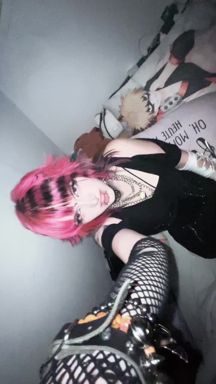 @raccoon_diaries