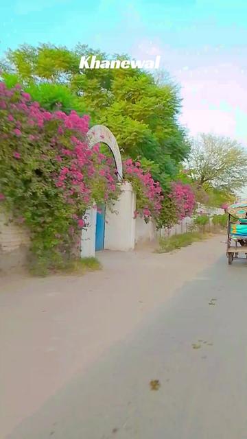 @Apna Khanewal " 👀👅