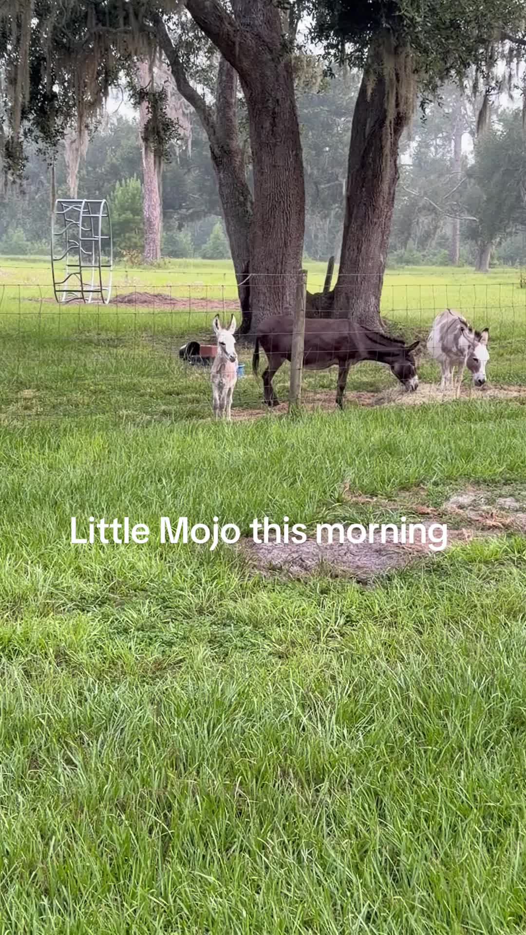 @Kelley Farms
