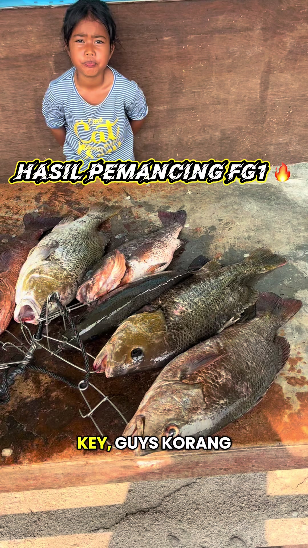 @M Z Reel 🎣