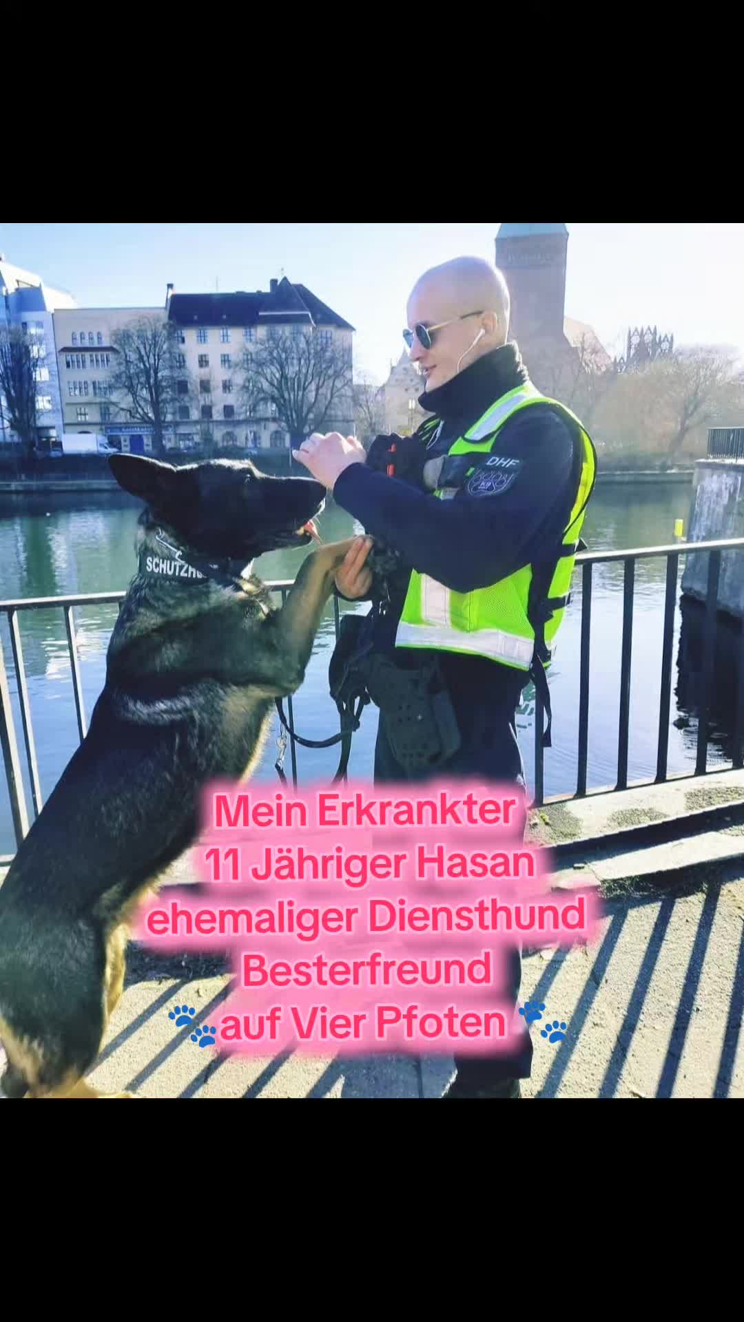 @K9 Palatinus-Unit☑️