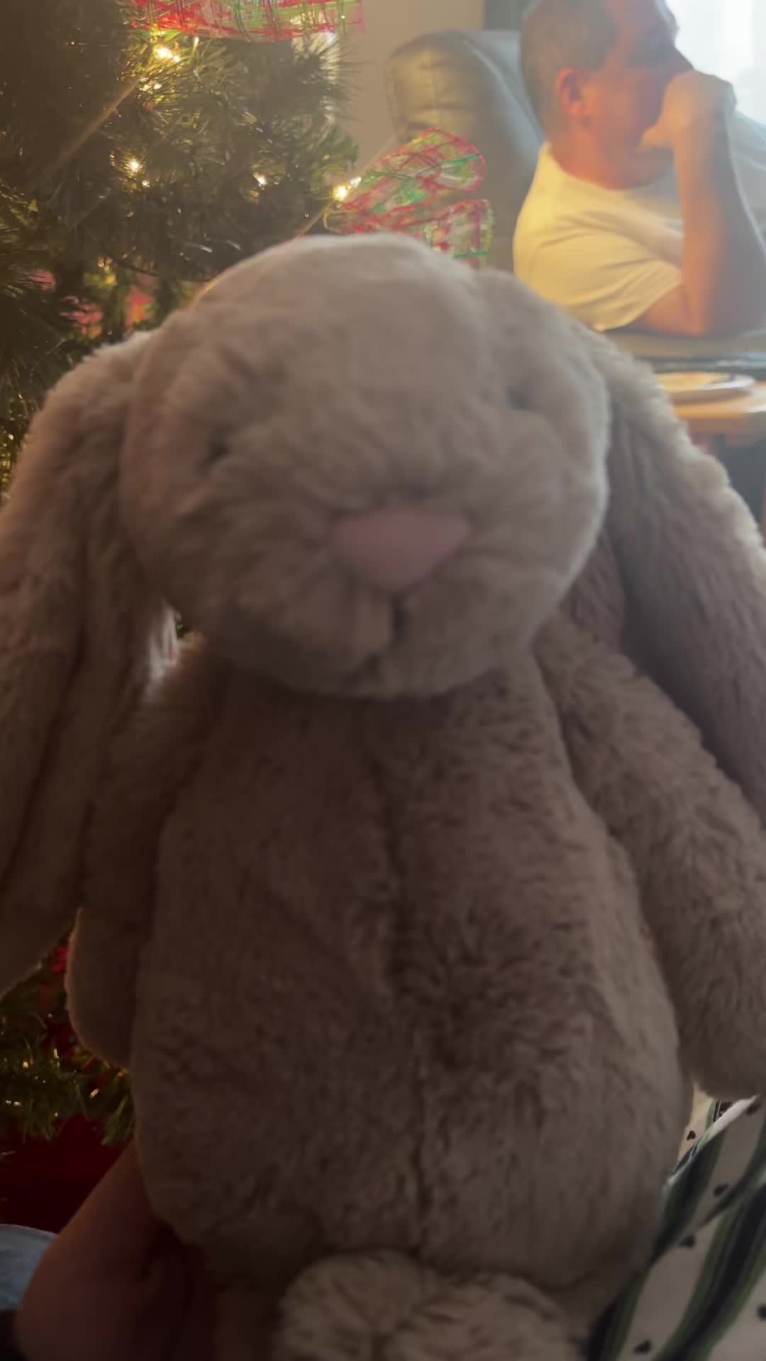 @Bashful the bun bun