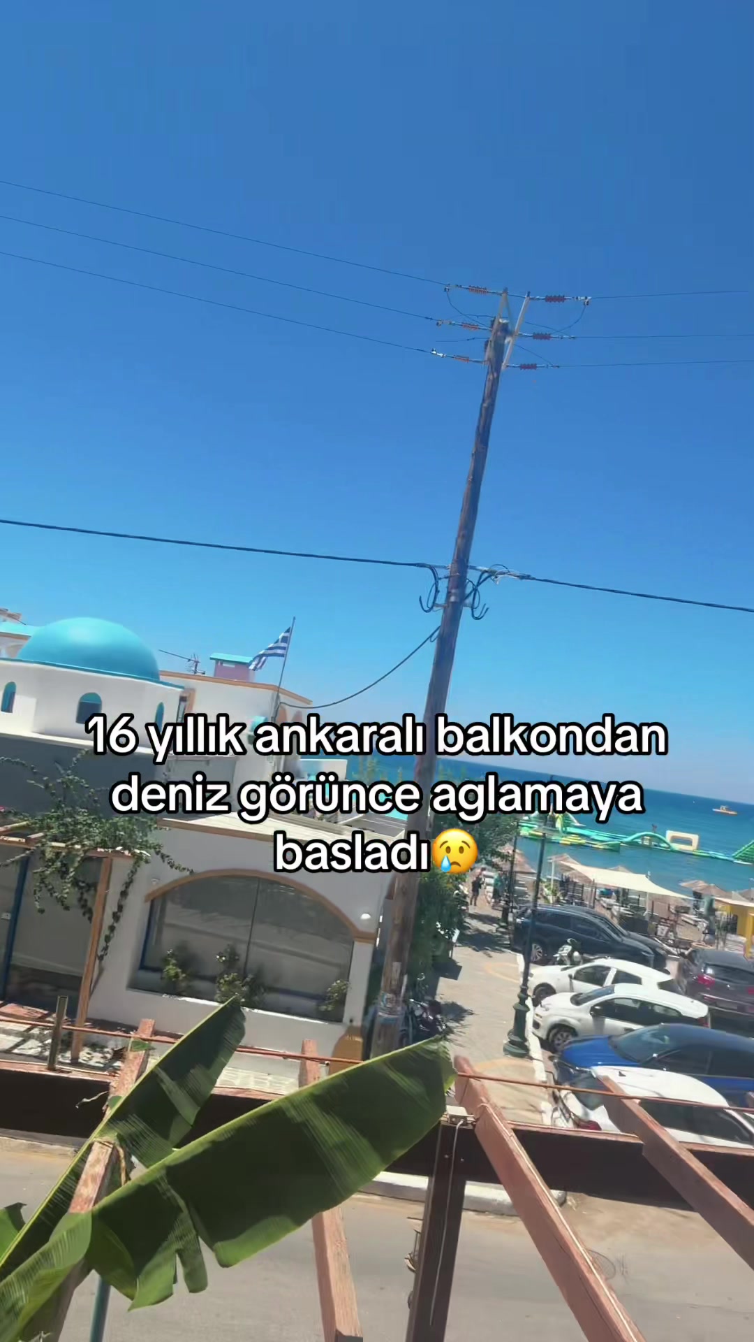 @defin 🦭