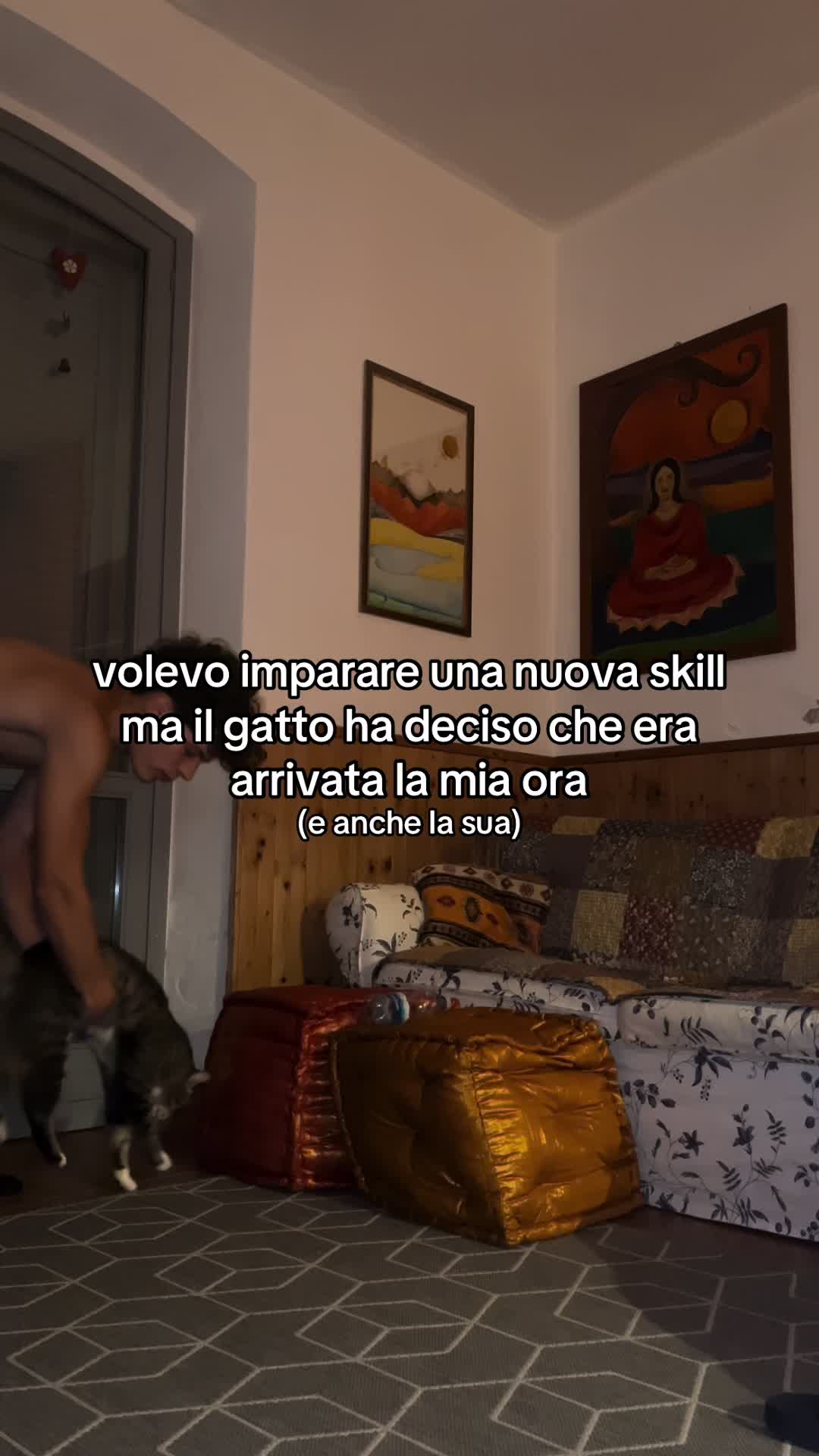 @gattinocattolico