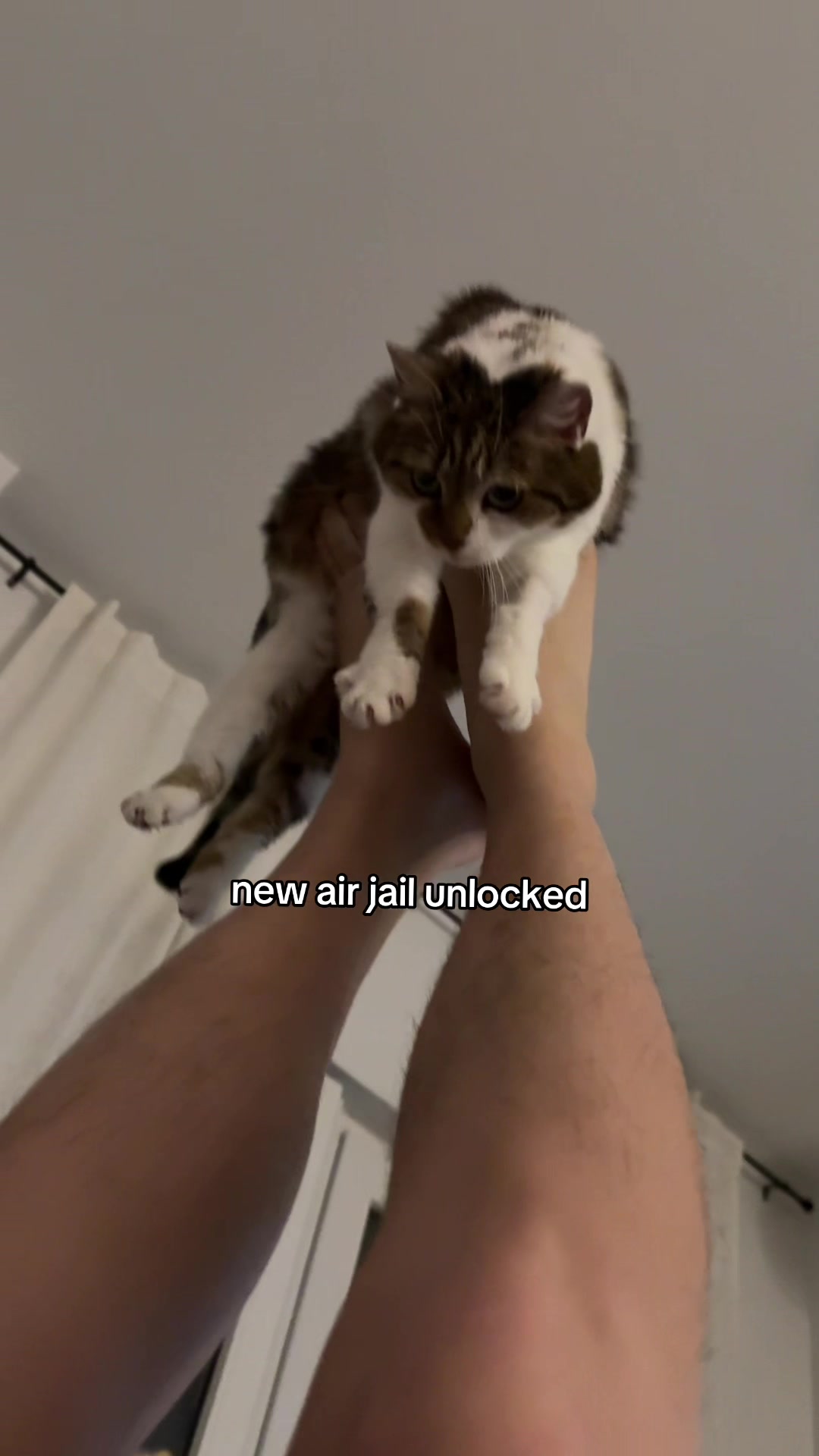 @Suki Purrs