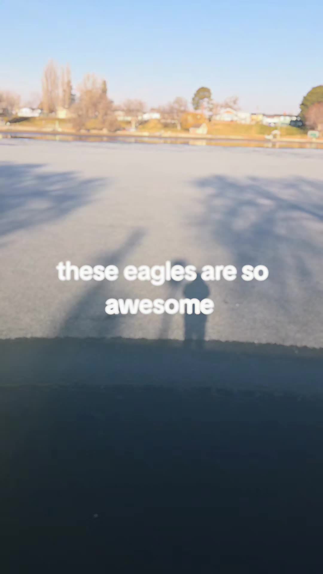 @GersonR