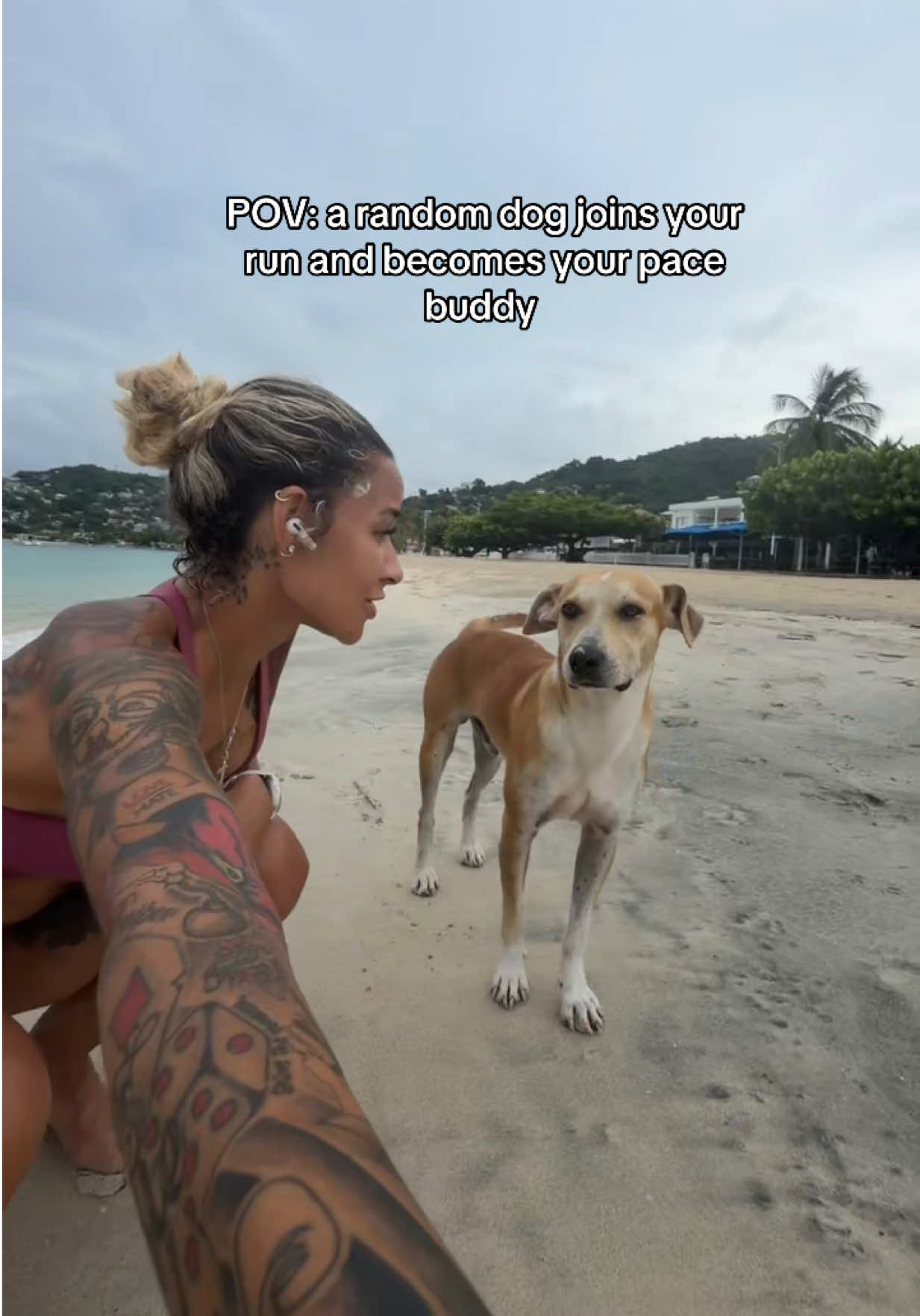 @Travelwithmeko