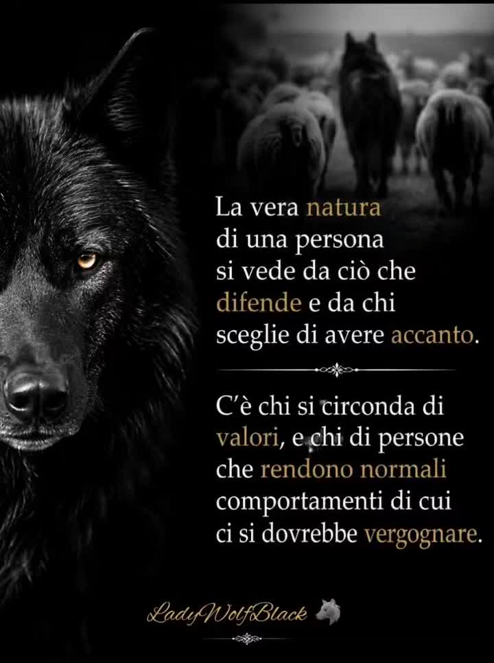 @LadyWolfBlack🐺