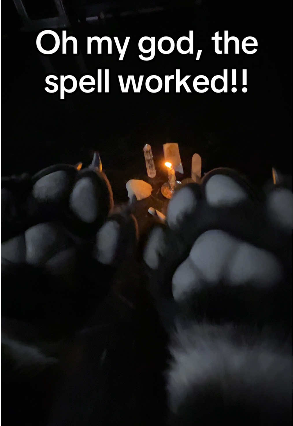 @moxie_claws