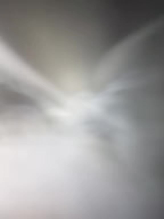 @𝓣𝓱𝓮 𝓙𝓮𝓵𝓵𝔂 𝓕𝓲𝓼𝓱🪼