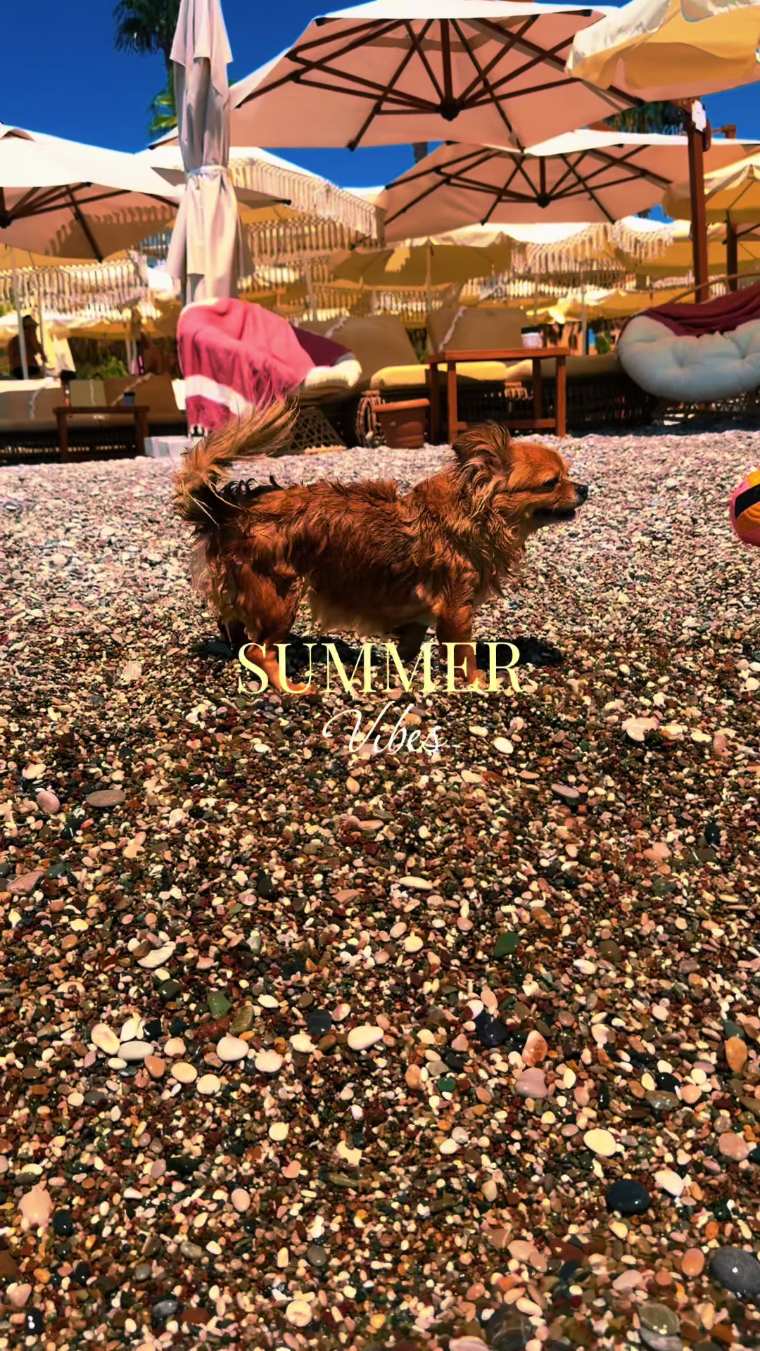 @Büşra🐅