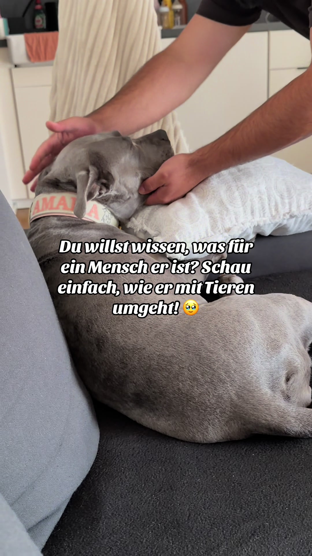 @LisaaJuuu
