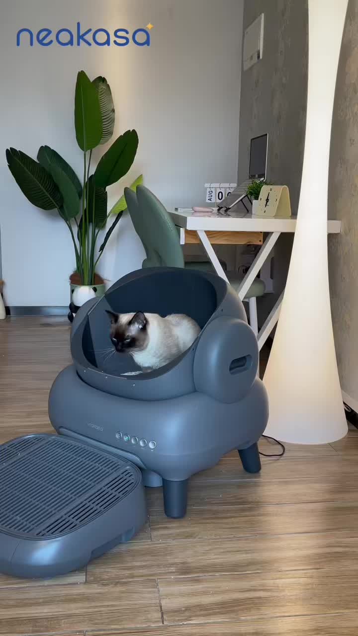 @Glückliche Katze