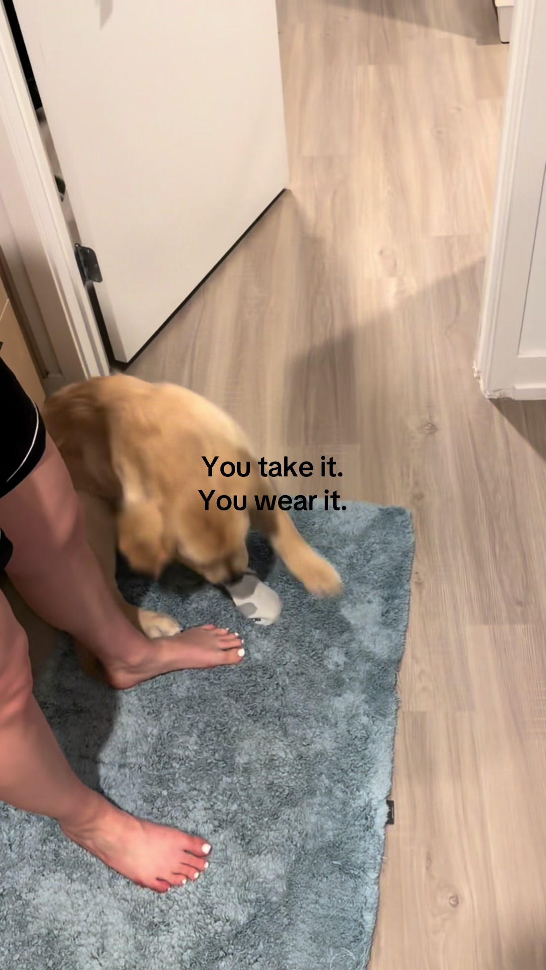 @Luca the Golden