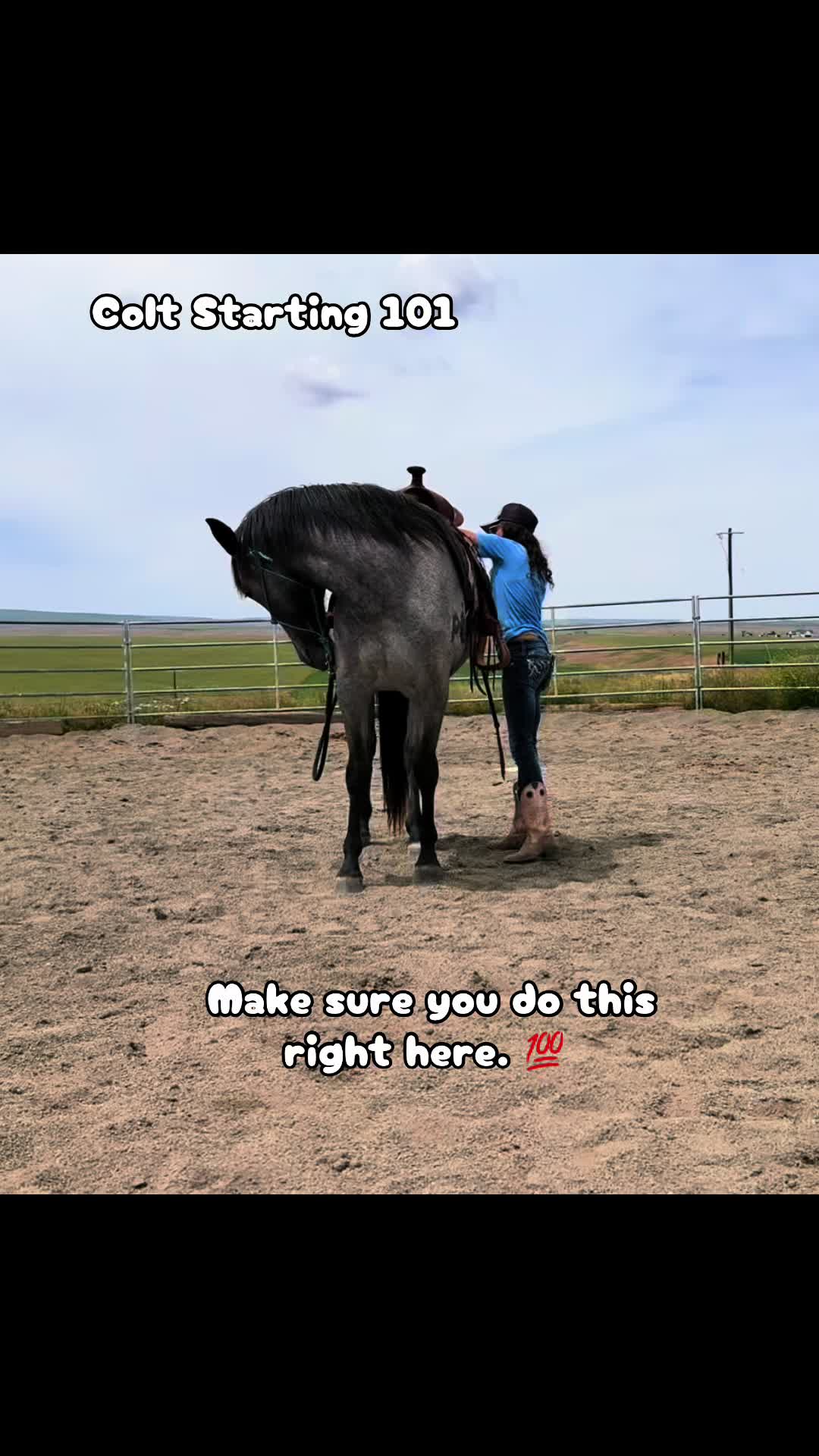 @Cowgirl Tuff Colt Training ❤️