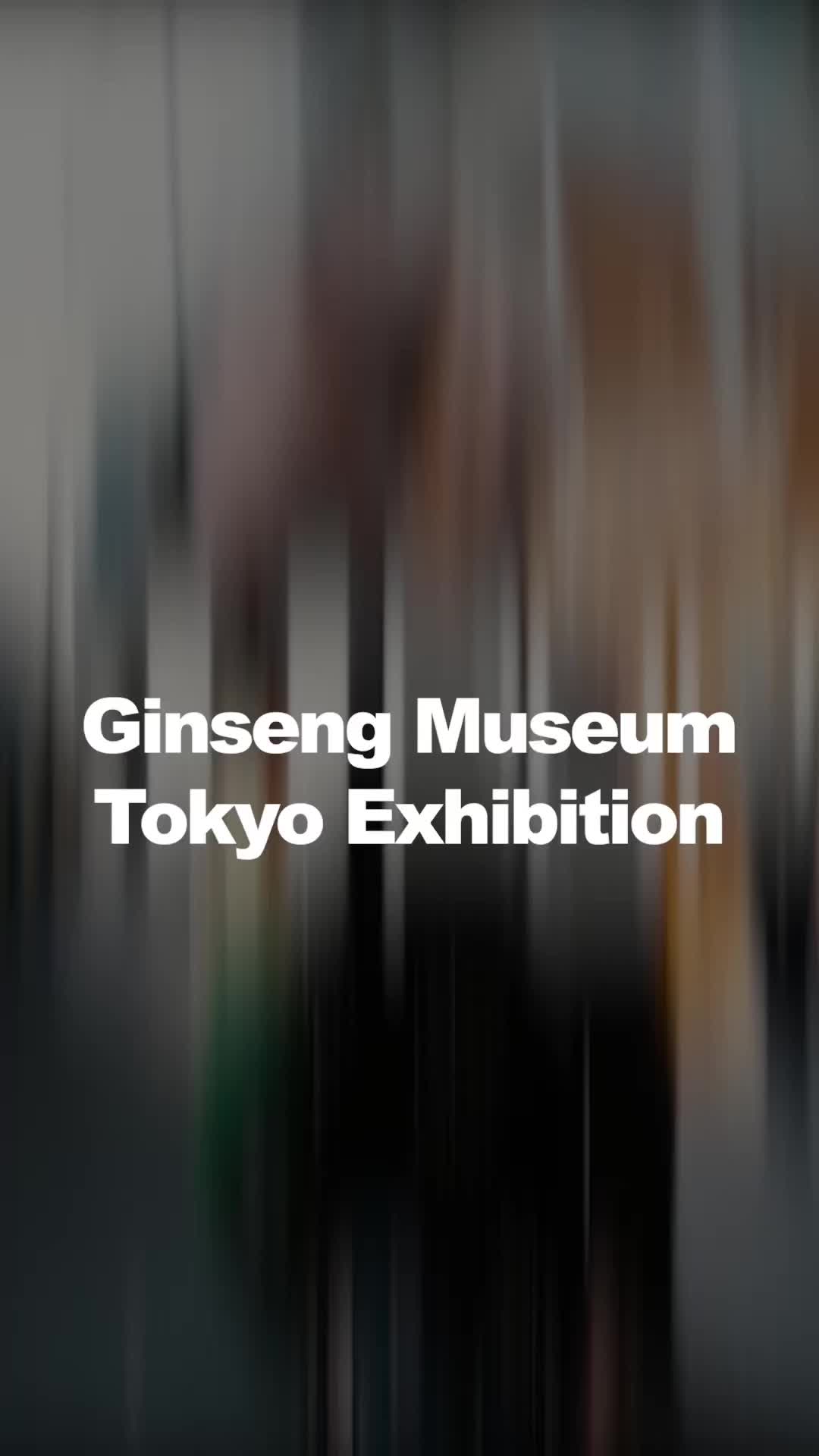 @Ginseng Museum