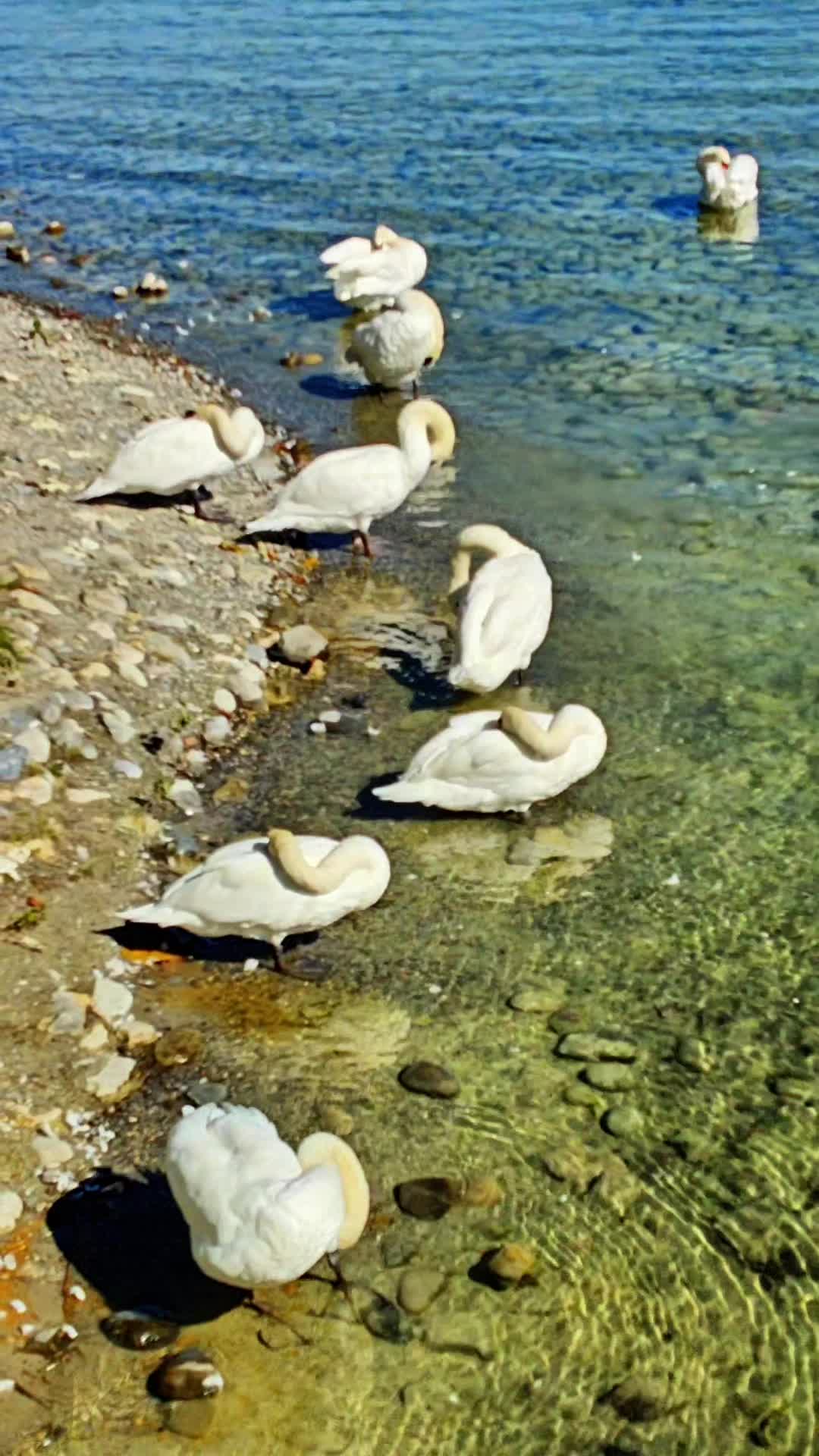 @Wali.contenido Tiktok Natur